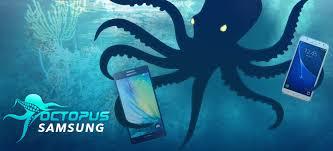 Octoplus Samsung 6 Month Digital License